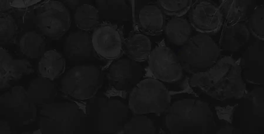 MOUNTAIN GIN Background